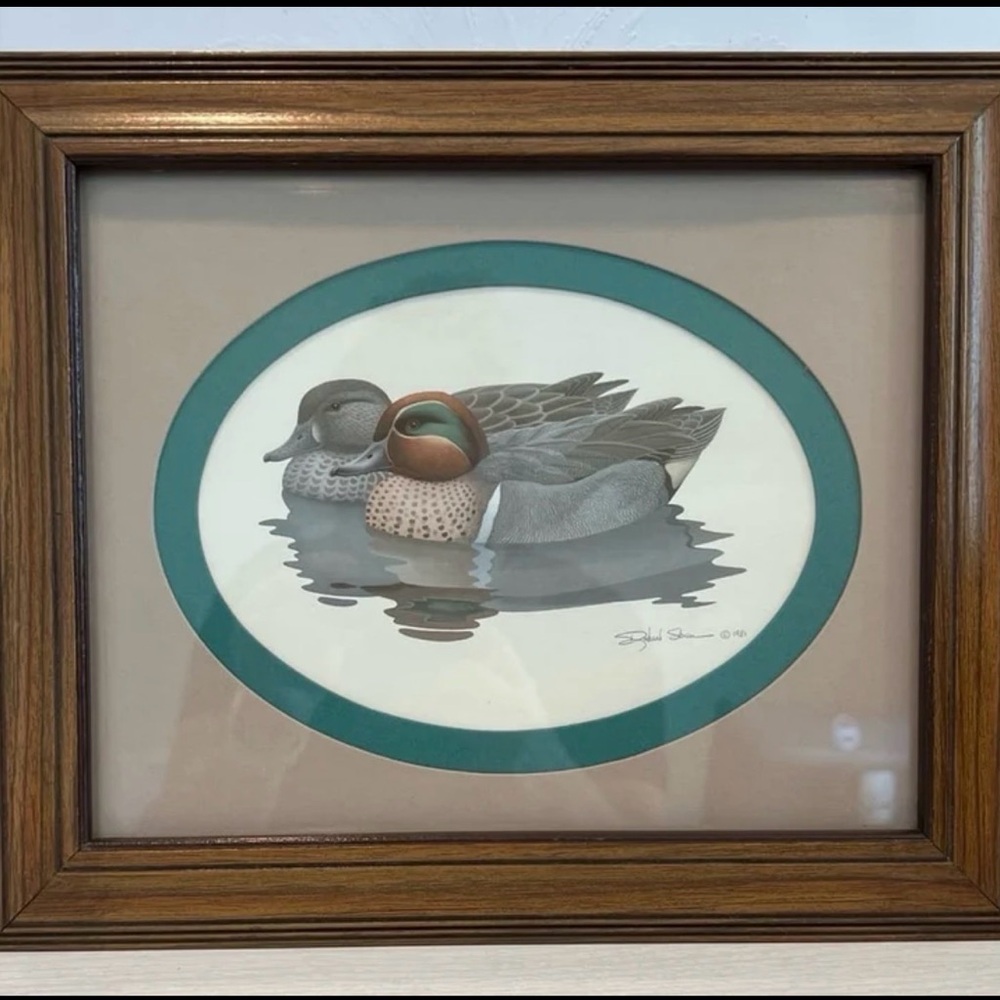 Framed Duck Art Print